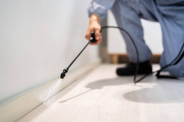 Licensed Pest Control service in Indian River, MI - Show Me Pest Control