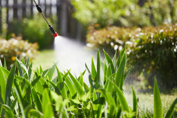 24/7 Emergency Wasp Removal experts in Indian River, MI